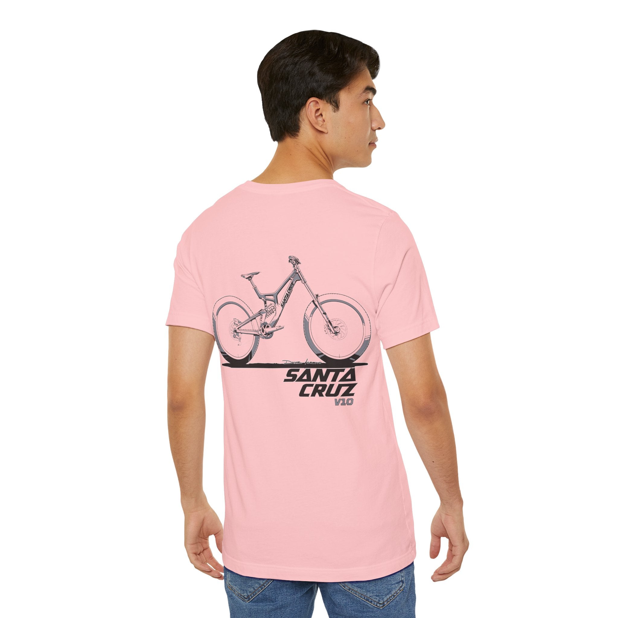 Santa Cruz V10 - DH Collection