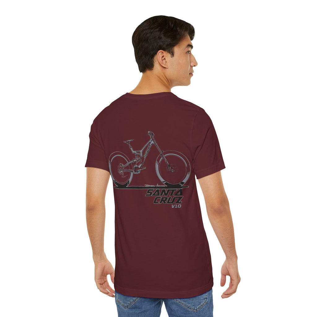 Santa Cruz V10 - DH Collection